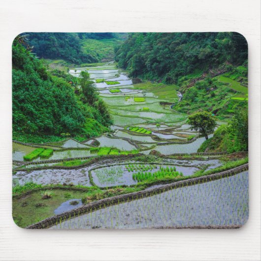 Tapis De Souris Rice Terraces of Banaue, Luzon (Devant)