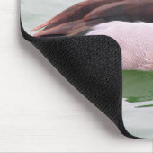 Tapis De Souris Ring Necked Duck (Coin)
