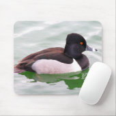 Tapis De Souris Ring Necked Duck (Avec souris)