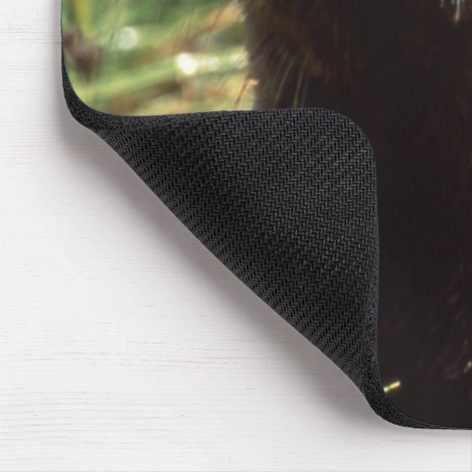 Tapis De Souris River Otter Up Close and Personal Mousepad (Coin)