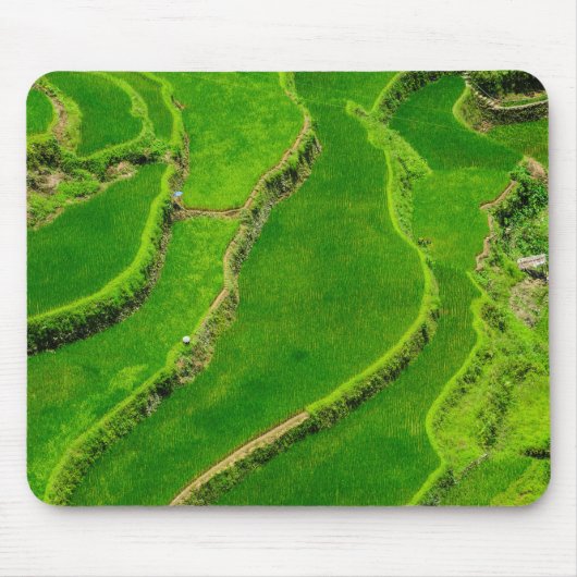 Tapis De Souris Rizières (Devant)