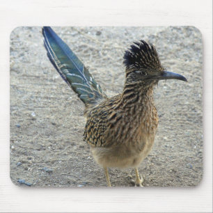Tapis De Souris Roadrunner