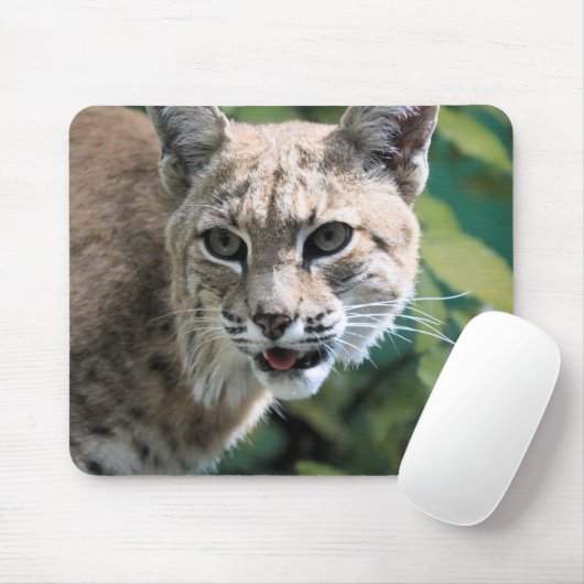 Tapis De Souris Robert J. Bobcat (Avec souris)