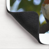Tapis De Souris Robin (Coin)
