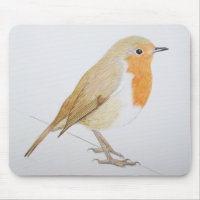 Robin 2011