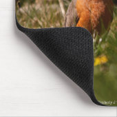 Tapis De Souris Robin américain (Coin)