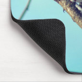 Tapis De Souris Robin Dans La Nature De La Neige  (Coin)