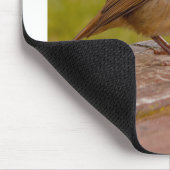 Tapis De Souris Robin de ressort (Coin)