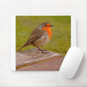 Tapis De Souris Robin de ressort (Avec souris)