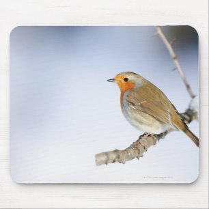 Tapis De Souris Robin était perché sur une branche en hiver
