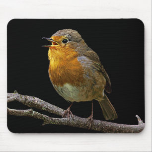 Tapis De Souris Robin Mousepad