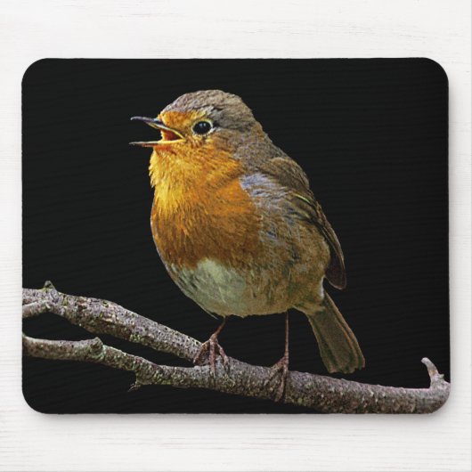 Tapis De Souris Robin Mousepad (Devant)