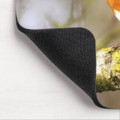 Tapis De Souris Robin sur la branche (Coin)