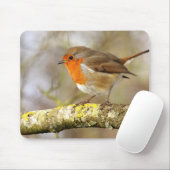 Tapis De Souris Robin sur la branche (Avec souris)