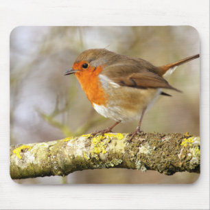 Tapis De Souris Robin sur la branche