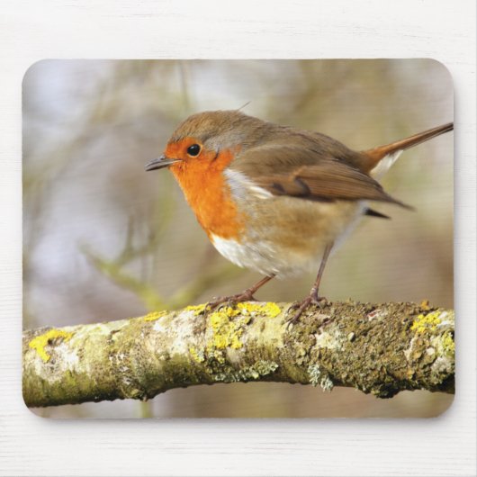 Tapis De Souris Robin sur la branche (Devant)