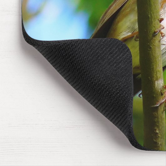 TAPIS DE SOURIS ROBINS (Coin)