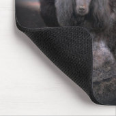 Tapis De Souris Roche Mousepad de caniche (Coin)