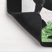 Tapis De Souris Roche Mousepad de frisons (Coin)