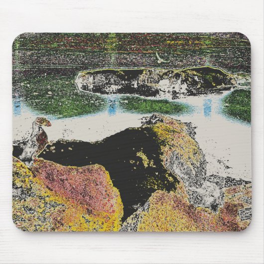Tapis De Souris roches d'oiseau (Devant)