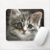 Tapis De Souris Rocheux le chaton Mousepad (Avec souris)