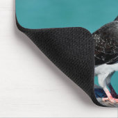 Tapis De Souris Rock Pigeon (Coin)
