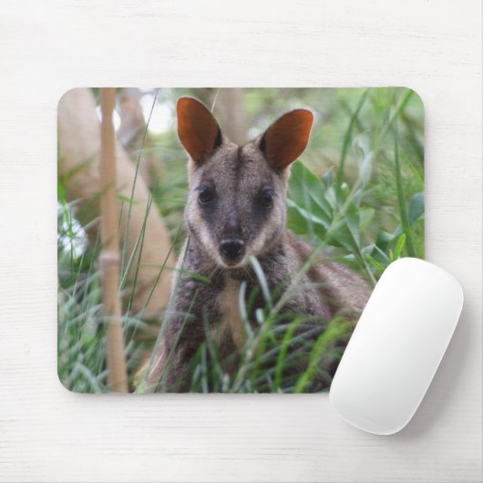 Tapis De Souris Rock Wallaby (Avec souris)