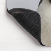 Tapis De Souris Rockhopper Penguin Eudyptes chrysocome (Coin)