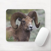 Tapis De Souris Rocky Mountain Bighorn Sheep Ram (Avec souris)
