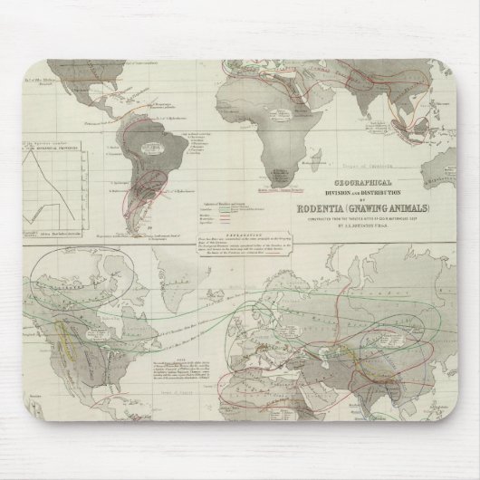 Tapis De Souris Rodentia, Ruminantia (Devant)