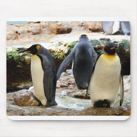Tapis De Souris Roi Pingouin (Devant)