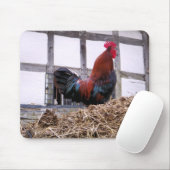 TAPIS DE SOURIS ROOSTER (Avec souris)