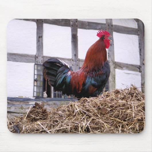 TAPIS DE SOURIS ROOSTER (Devant)