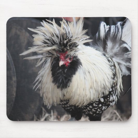 Tapis De Souris Rooster polonais en crête (Devant)