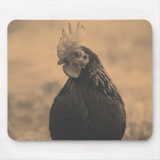 Tapis De Souris Rooster Portrait (Devant)