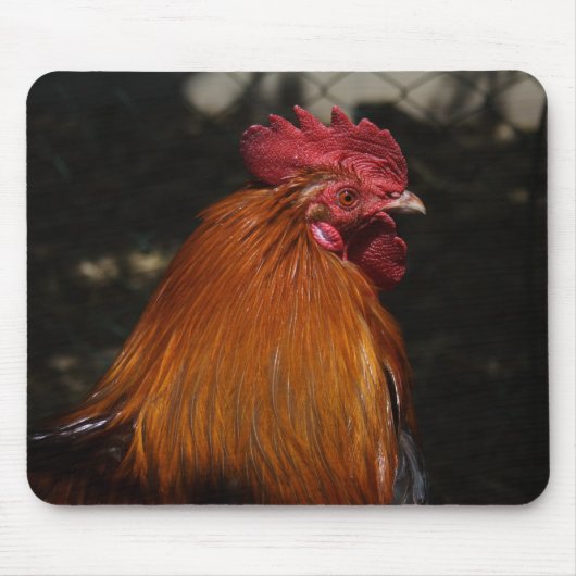 Tapis De Souris Rooster rouge (Devant)