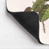 Tapis De Souris Rosa Centifolia Foliacea (Coin)
