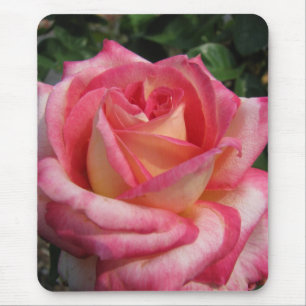 Tapis De Souris Rose