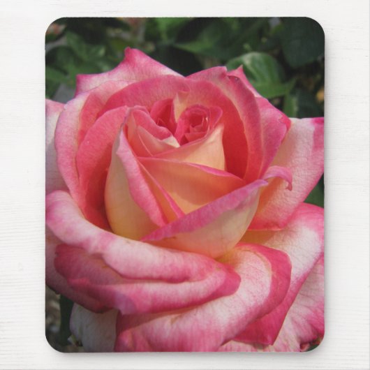 Tapis De Souris Rose (Devant)