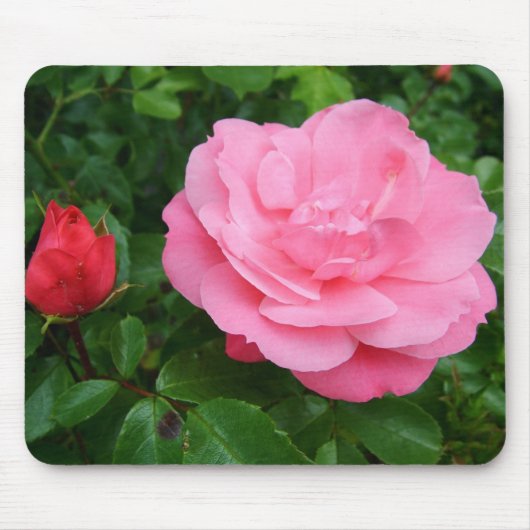 Tapis De Souris rose (Devant)