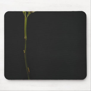 Tapis De Souris Rose 3 de rose