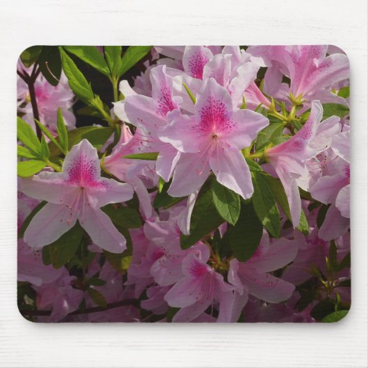 Tapis De Souris Rose Azalea Bush printemps floral (Devant)