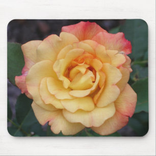 Tapis De Souris Rose Beautiful Pink and Yellow Floral