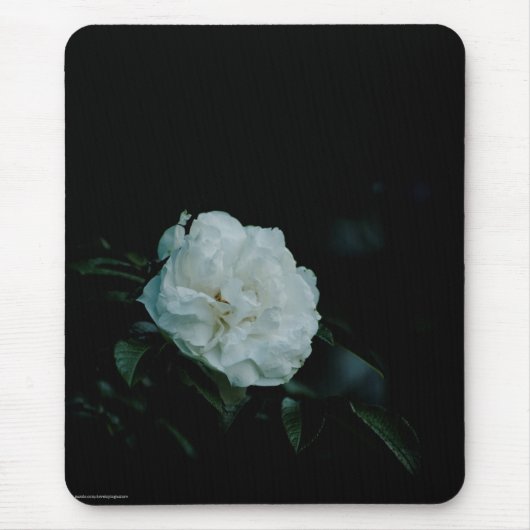 Tapis De Souris Rose blanche (Devant)