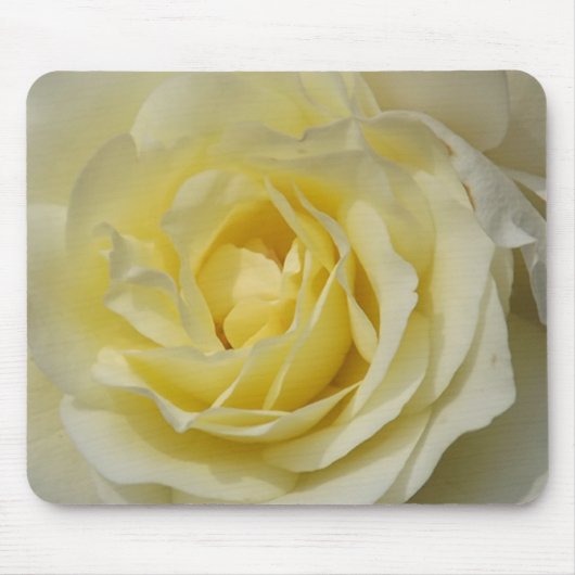 Tapis de souris Rose blanche (Devant)