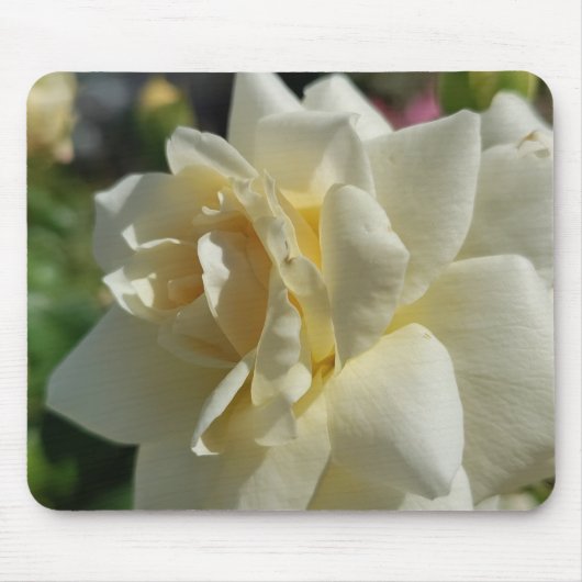 Tapis De Souris Rose blanche (Devant)