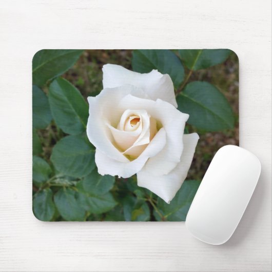 Tapis De Souris rose blanche (Avec souris)
