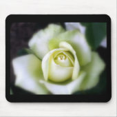 Tapis De Souris Rose blanche Soft Focus (Devant)