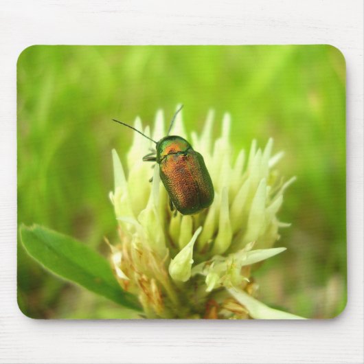 Tapis De Souris Rose Chafer Mouse Mat (Devant)