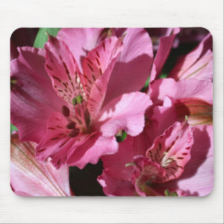 Tapis de souris rose de fleur d'Alstroemeria
